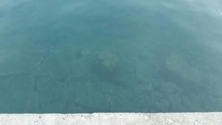 未明～昼まで須磨海岸西側をランガン。貧果に終わりました…。